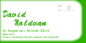 david moldvan business card